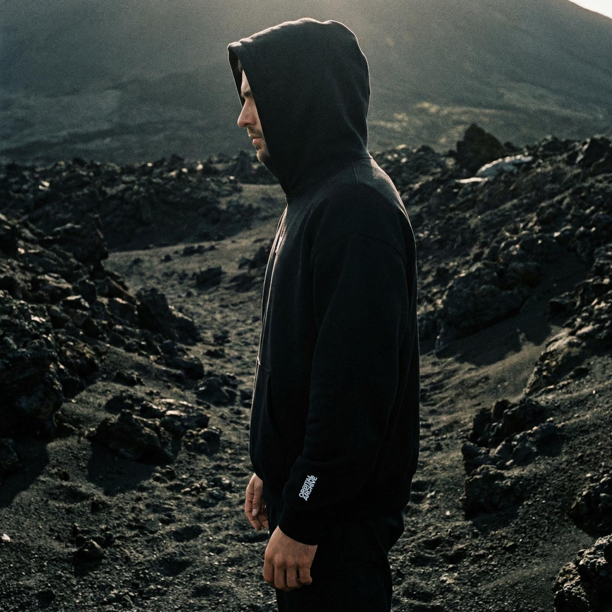 Artemis II Lunar Far Side Oversized Unisex Hoodie // NASA Moon Mission 2026 // Technical Streetwear Gorpcore Sweatshirt