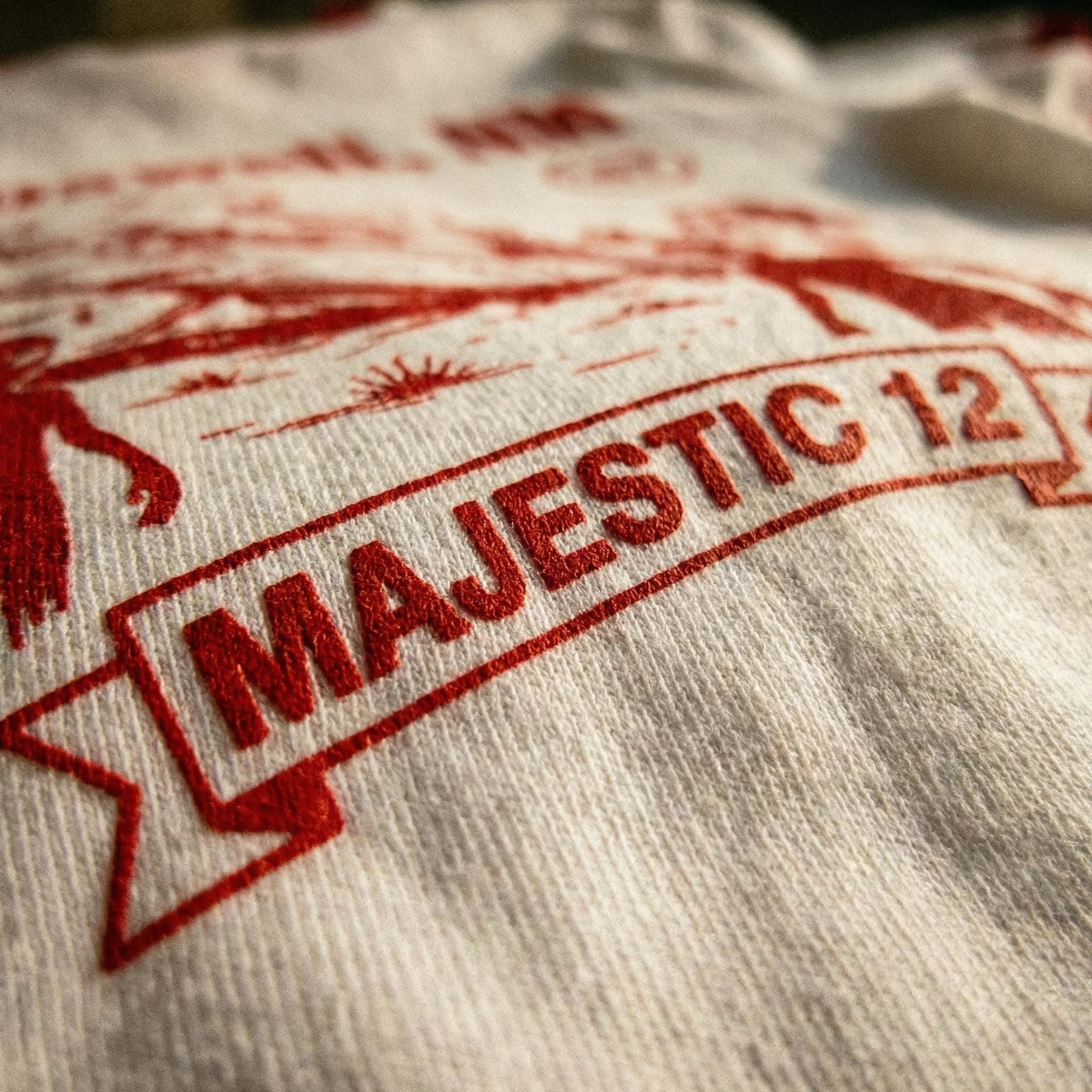 Roswell NM UFO crash ringer tee | Alien saucer graphic tee